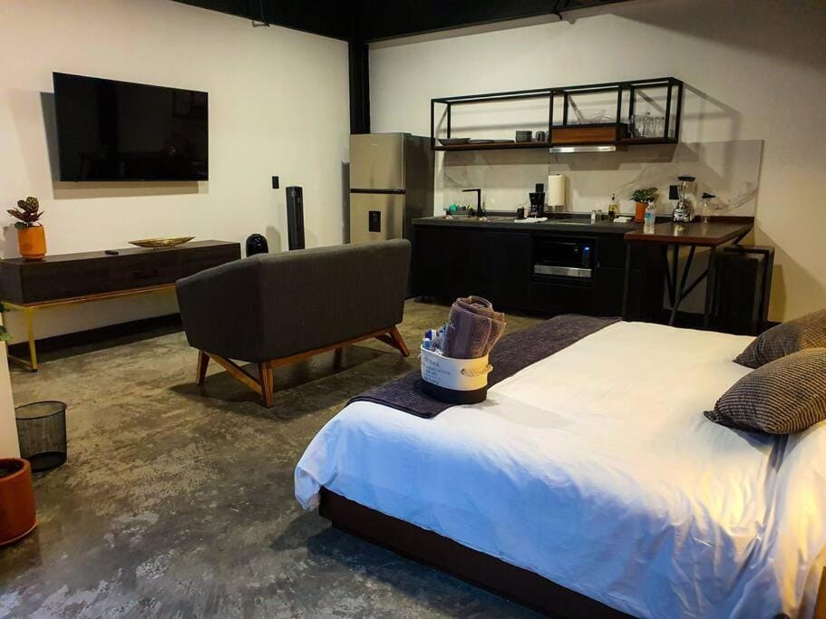 Loft Bronce en excelente ubicación! Apartment in San Luis Potosi