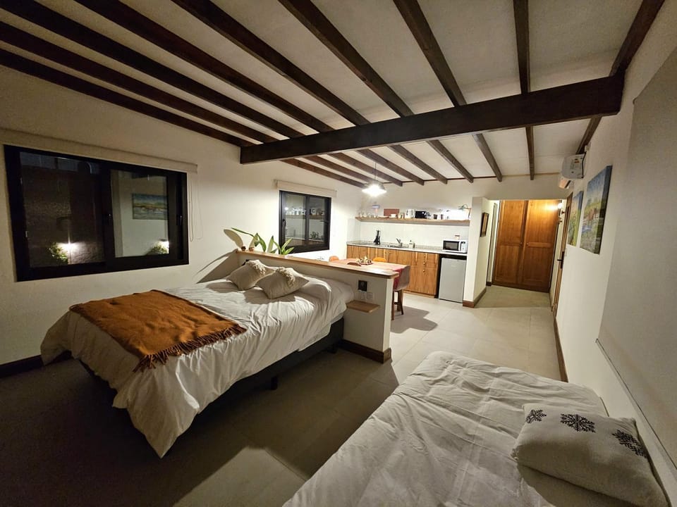 Bed, Kitchen or kitchenette, Photo of the whole room, Bedroom, internet, air conditioner