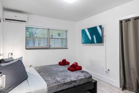 Huge 1 bed newly renovated free parking Apartment in Miami