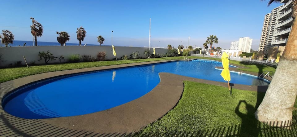 Garden, Pool view, Swimming pool