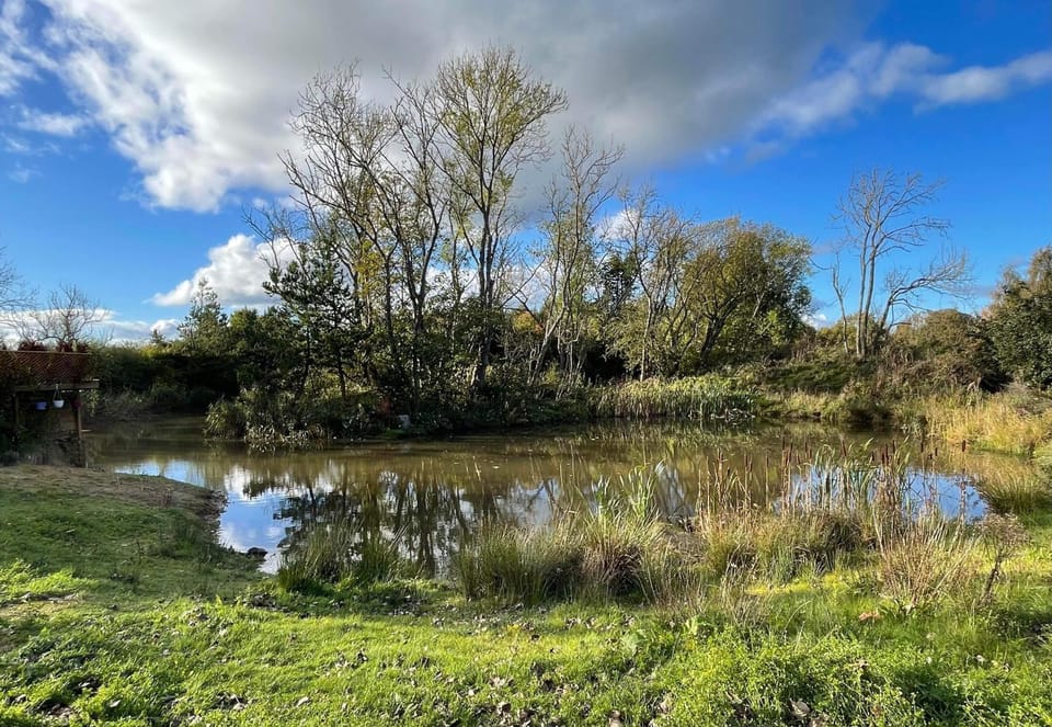 Natural landscape