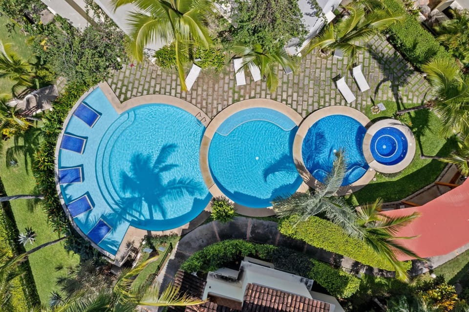 Bird's eye view, Pool view, Swimming pool, sunbed