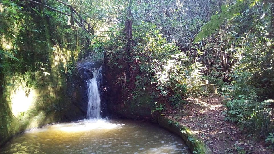 Natural landscape