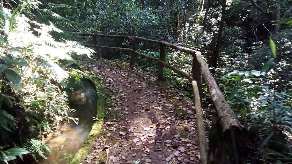 Natural landscape