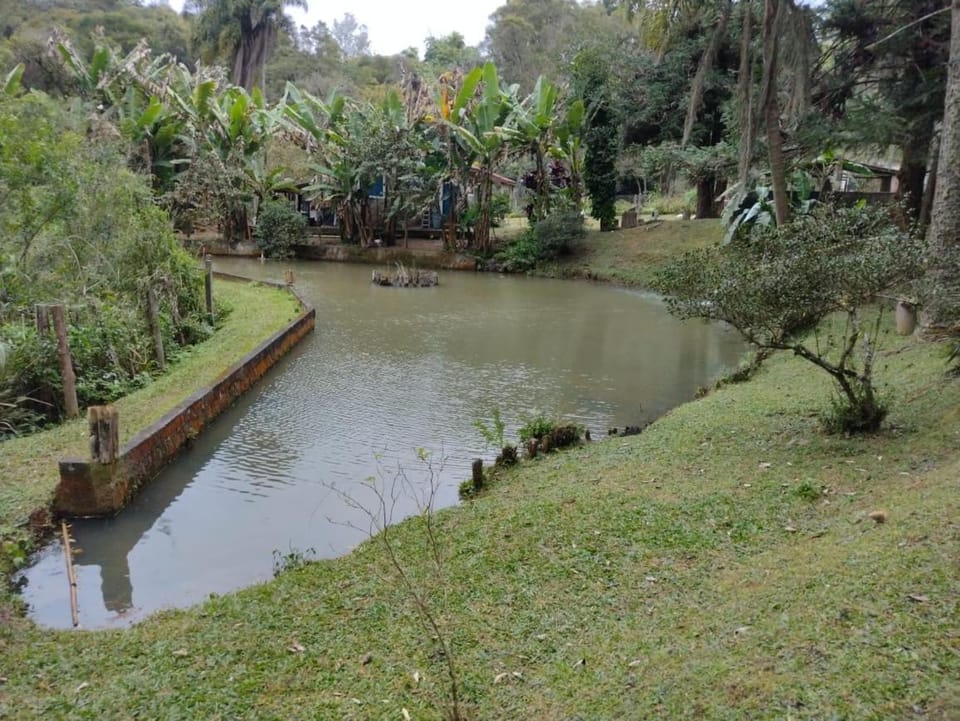 Lake view