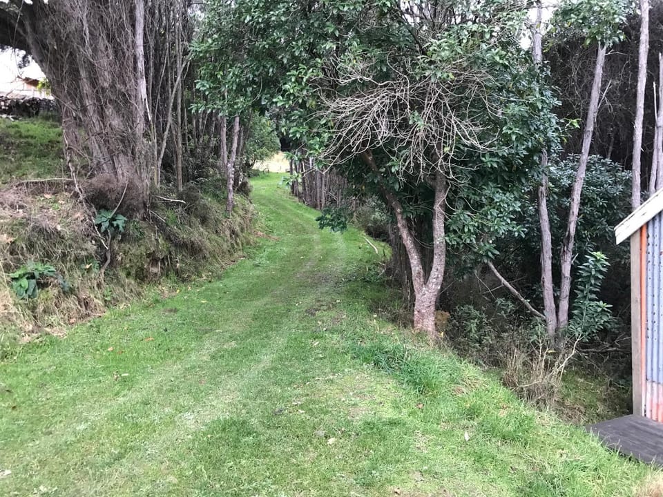 Natural landscape