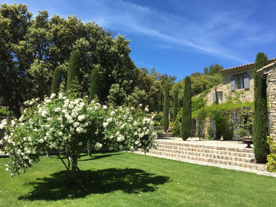 Natural landscape, Garden, Garden view