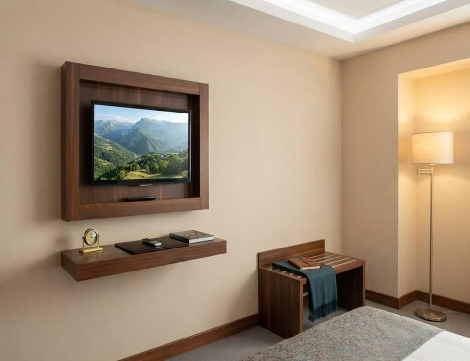 TV and multimedia