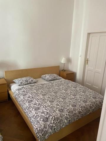 Large 3 bedroom family apartment close to the river Apartment in Prague