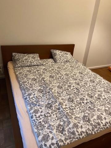 Large 3 bedroom family apartment close to the river Apartment in Prague