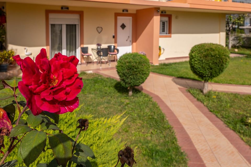 Property building, Garden, Garden view