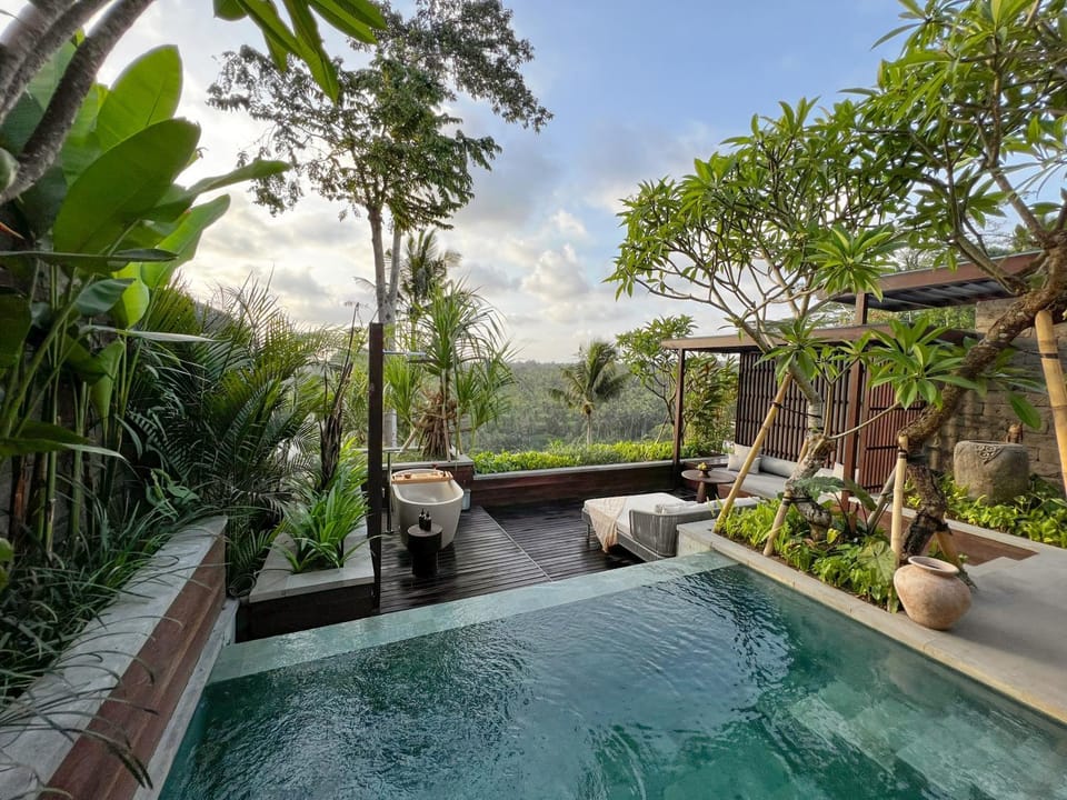 Patio, Natural landscape, Garden, Pool view, Swimming pool