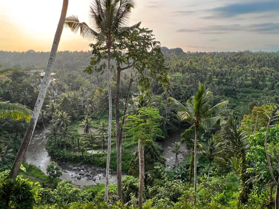 Natural landscape, View (from property/room)