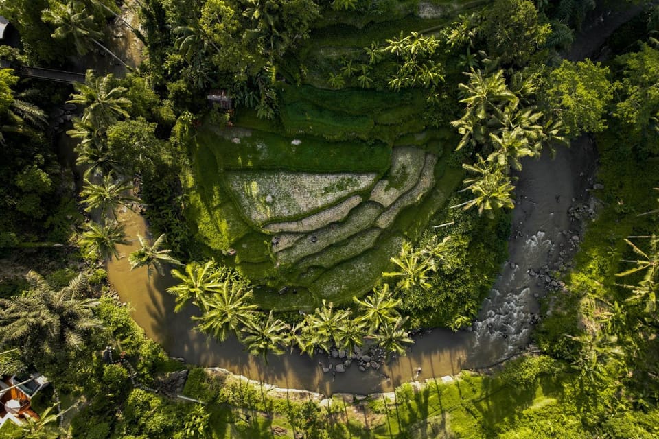Natural landscape, View (from property/room)