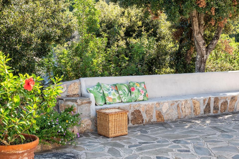 Garden, Garden, Garden view