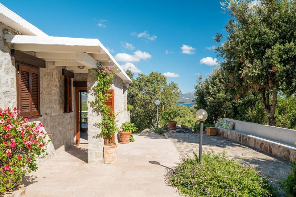 Property building, Natural landscape, Garden