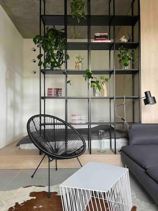Studio Piłsudski Apartment in Wroclaw