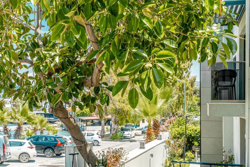 Day, Street view, Parking