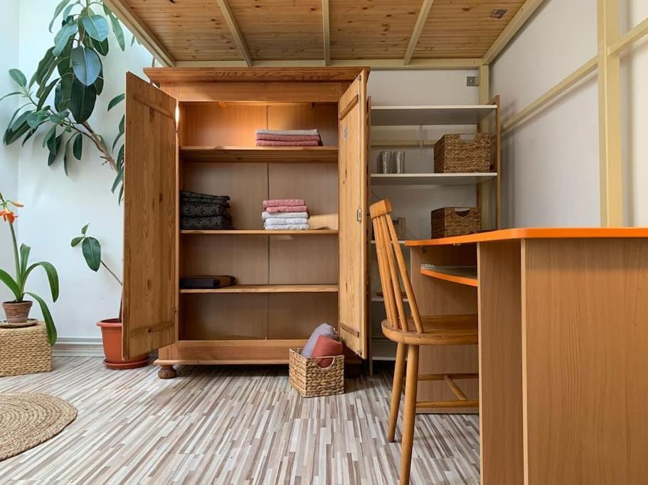 Bright and Pleasant Home Apartment in Cluj-Napoca