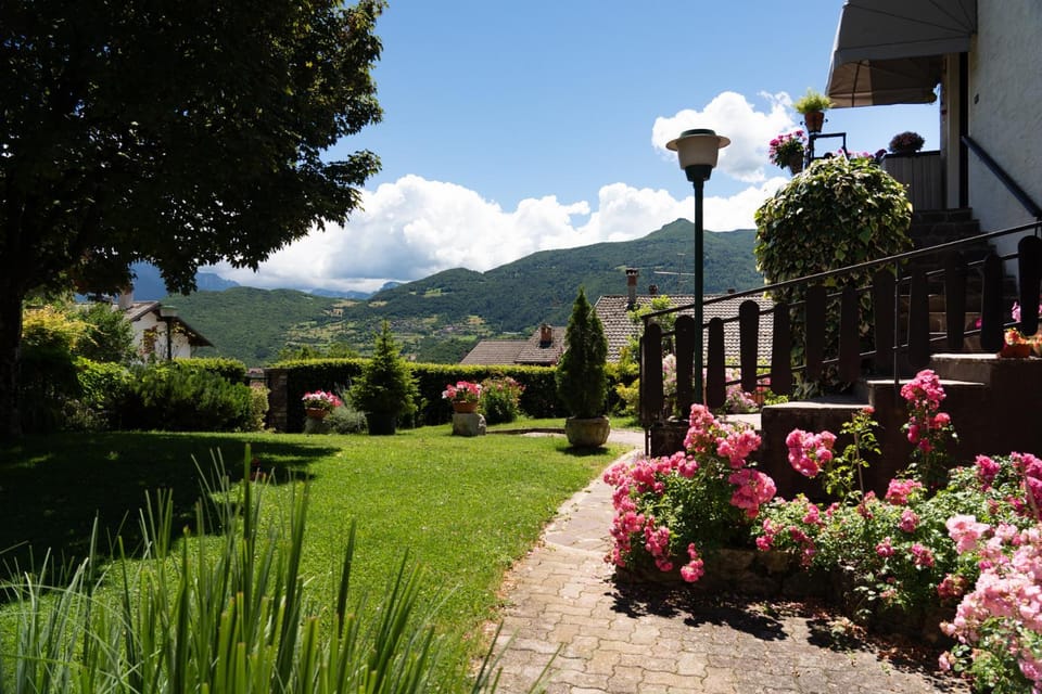 Garden, Garden, Garden view, Garden view, Mountain view, Mountain view