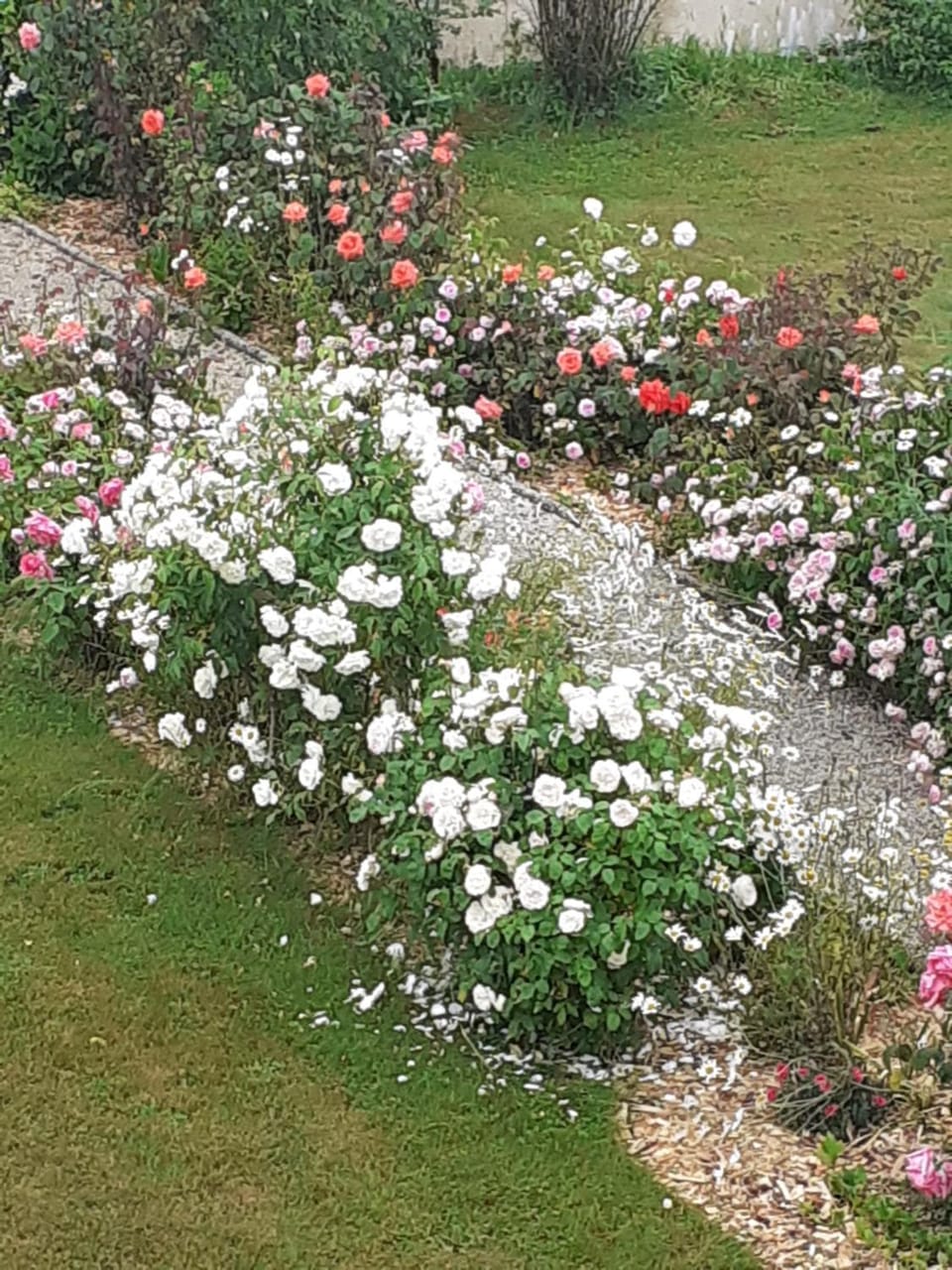Garden, Garden view