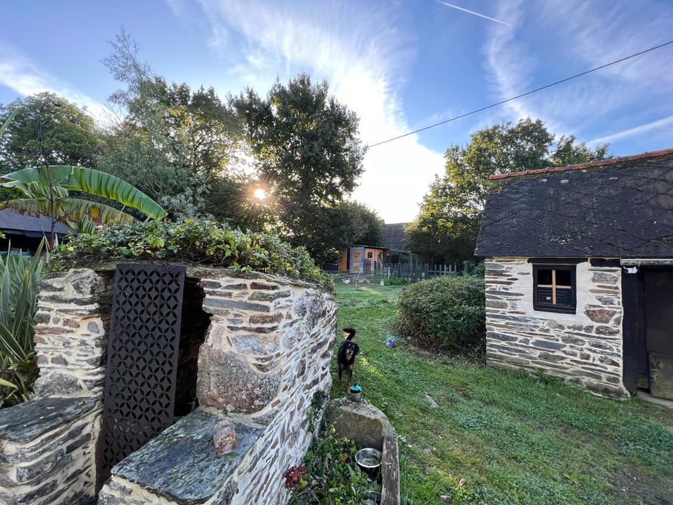 Day, Natural landscape, Garden, Garden view