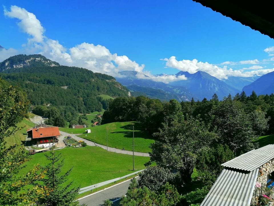 View (from property/room)