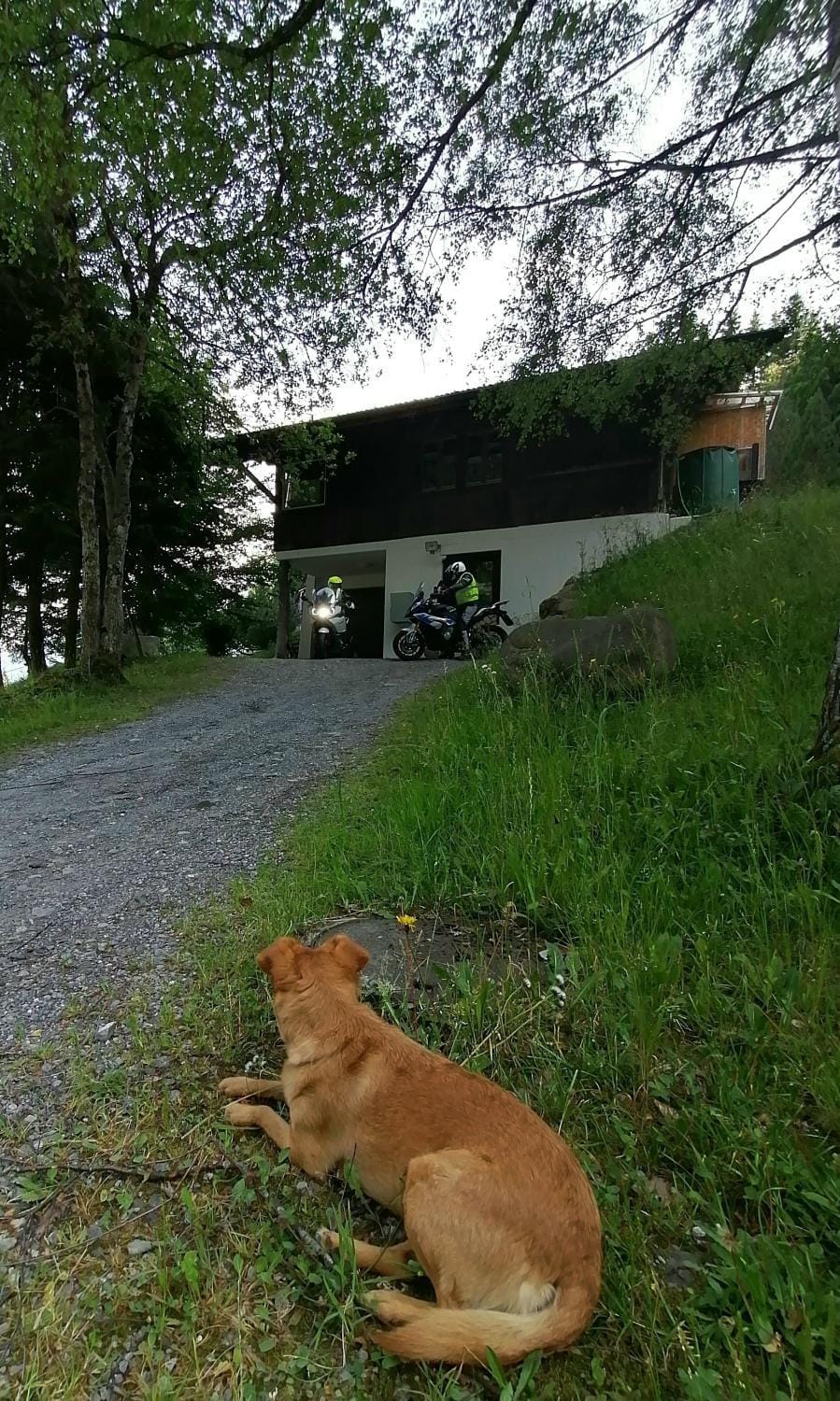 Property building