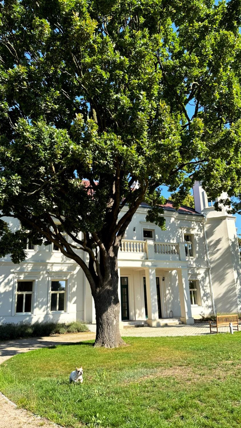Zámek Jenišovice Apartment hotel in Czechia