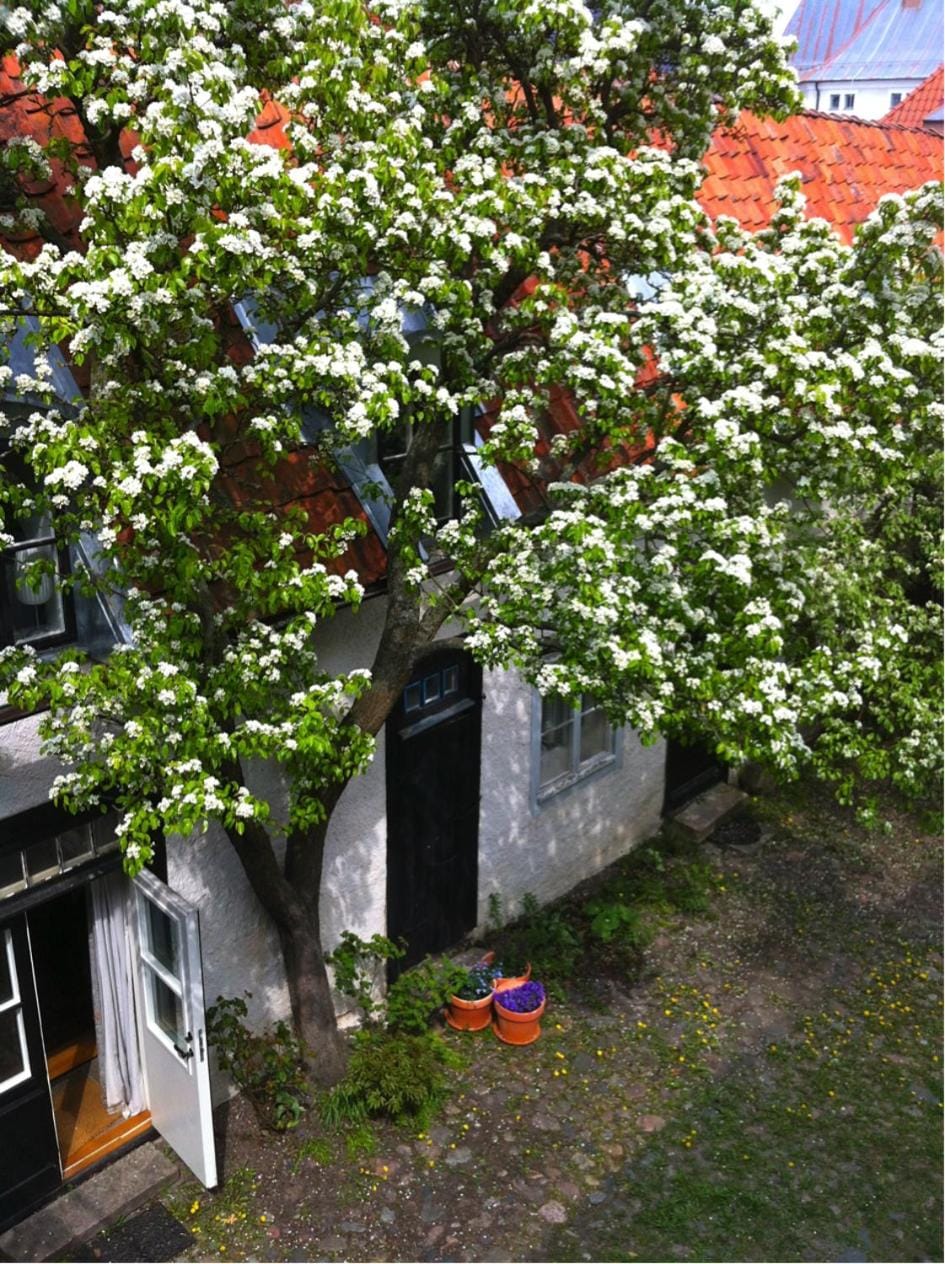 Facade/entrance, Garden view