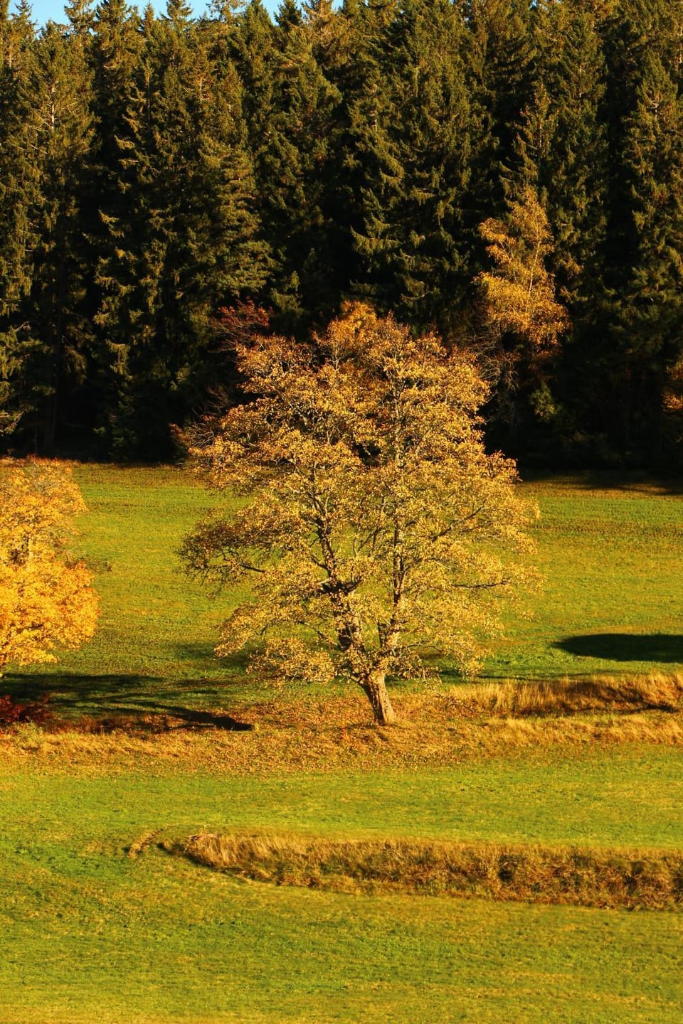 Spring, Day, Natural landscape