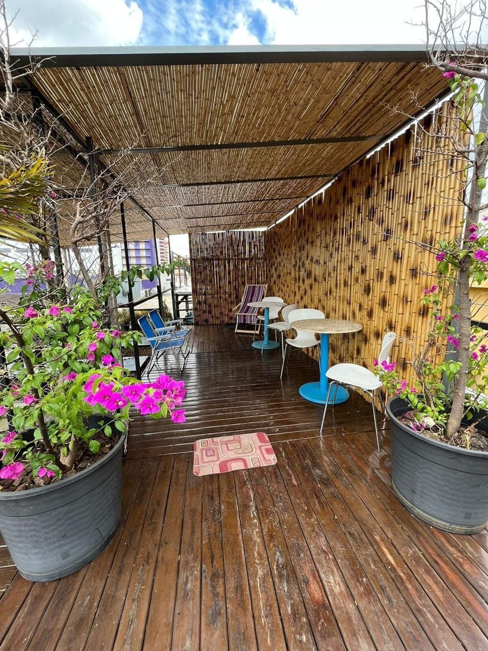 Patio, Garden