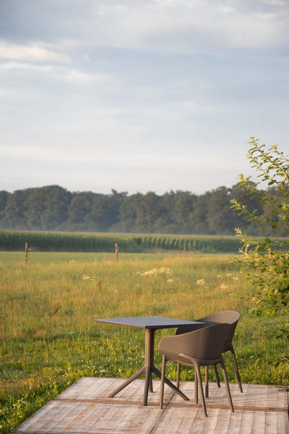 The Cat and The Owl B&B Bed and Breakfast in Gelderland, Netherlands