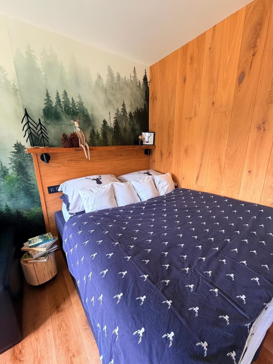 Apartmán Dole v Dole Apartment in Czechia