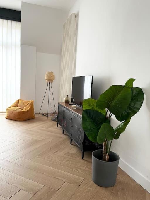Cocon d'Alsace Apartment in Colmar