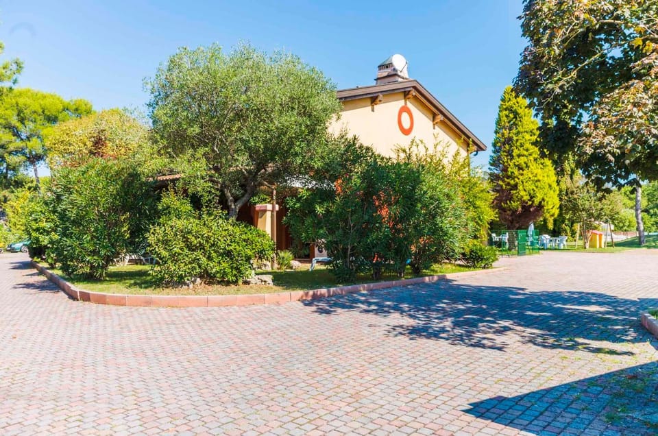 Property building, Summer, Garden