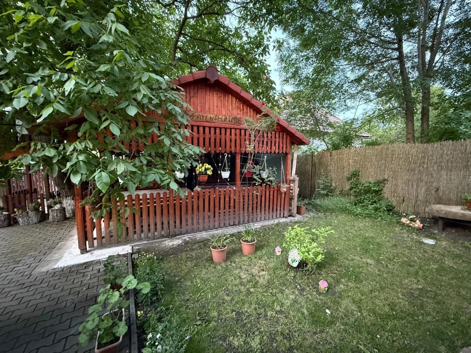 Gold Fayen House Cheile Turului Vacation rental in Cluj County