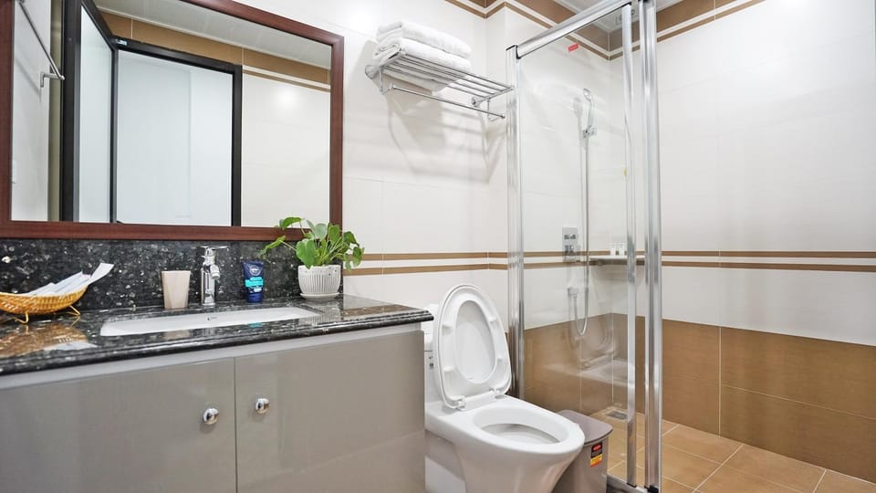 Toilet, Bathroom, towels