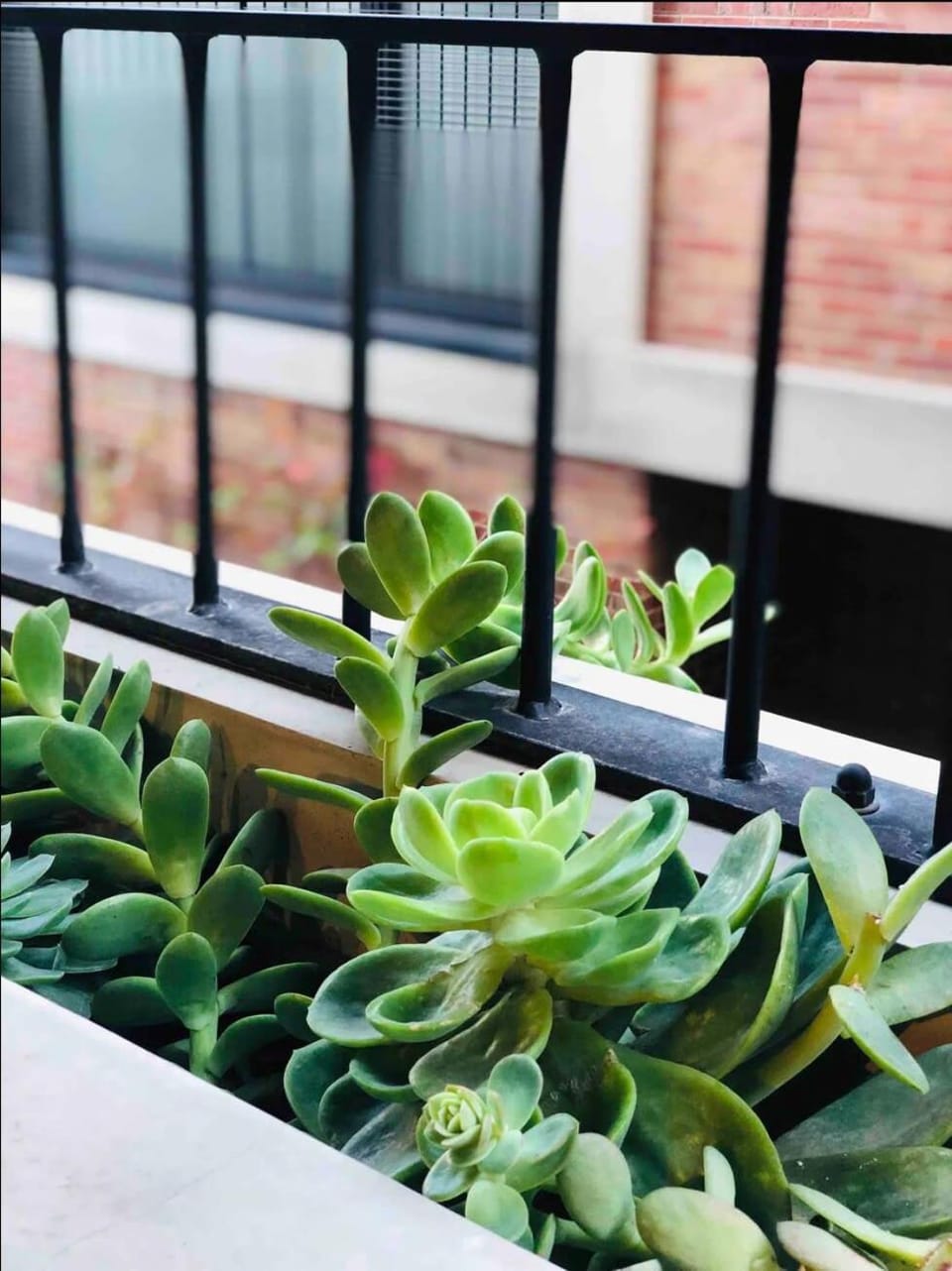 Modern Apartment In Flawless Fitzroy+Carpark Apartment in Melbourne