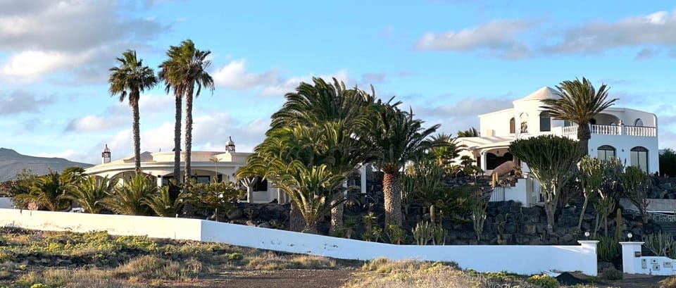 Property building, Day, Garden