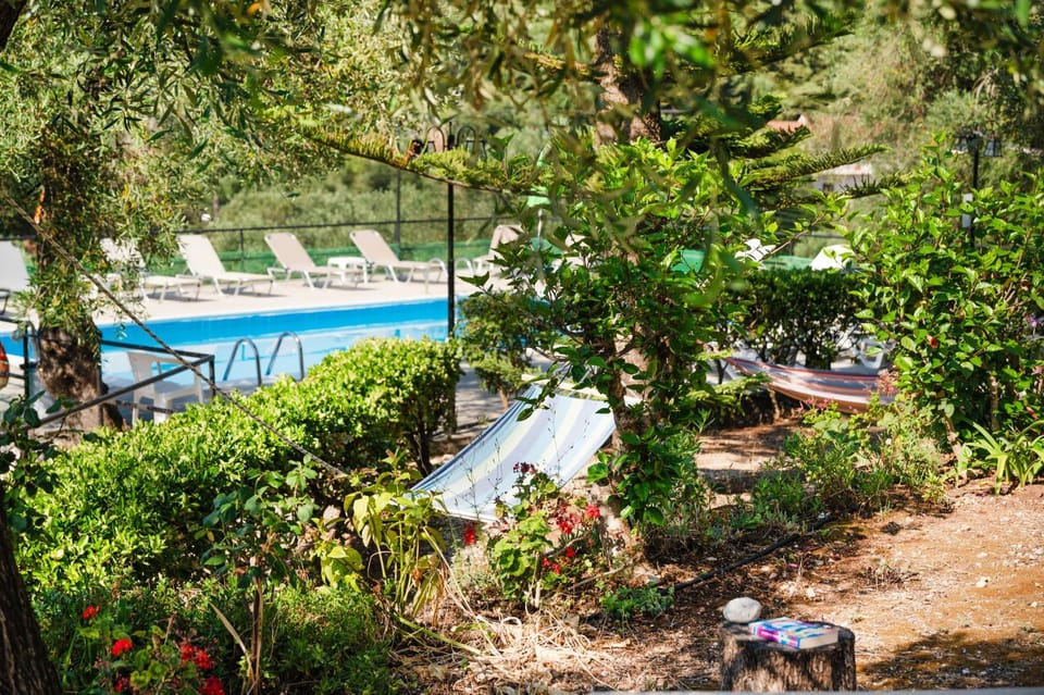 Day, Garden, Garden view, Swimming pool, sunbed