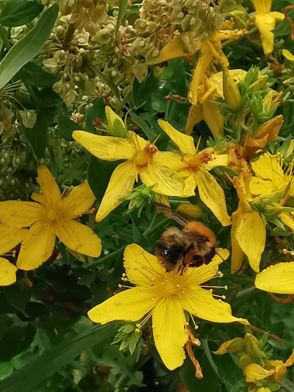 A Bird House Vacation rental in Belper