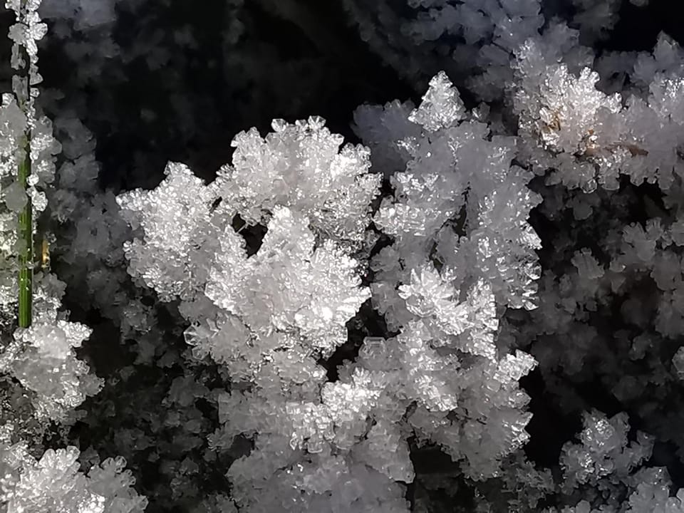 Natural landscape, Winter