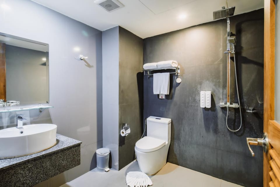 Shower, Toilet, Bathroom, towels