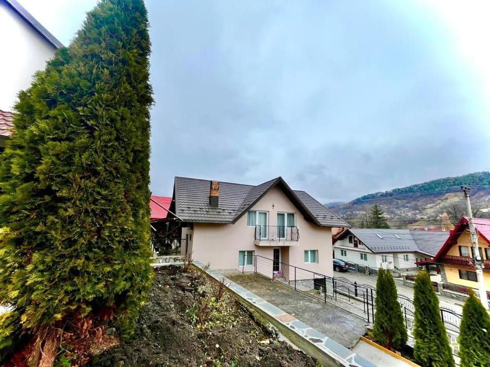 Property building, Day, Garden, Mountain view