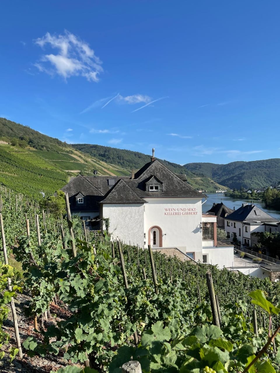 Property building, Natural landscape, Mountain view