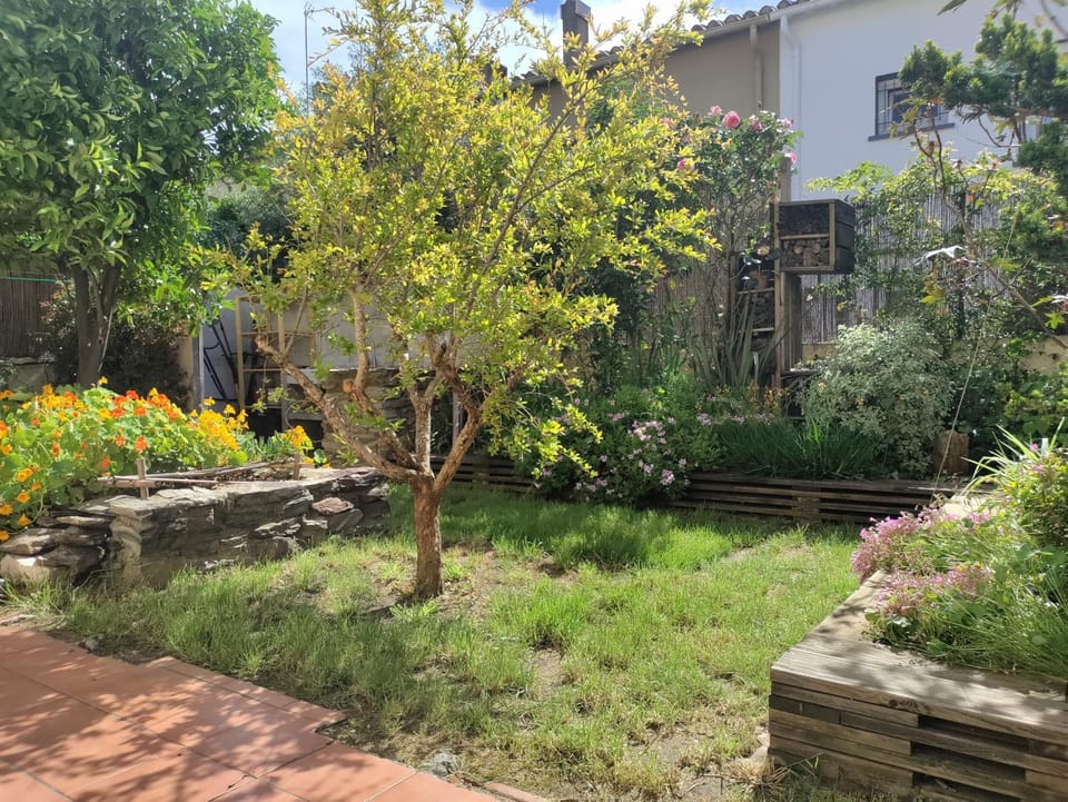 Garden view