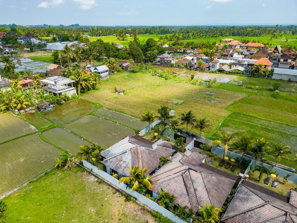 Neighbourhood, Bird's eye view
