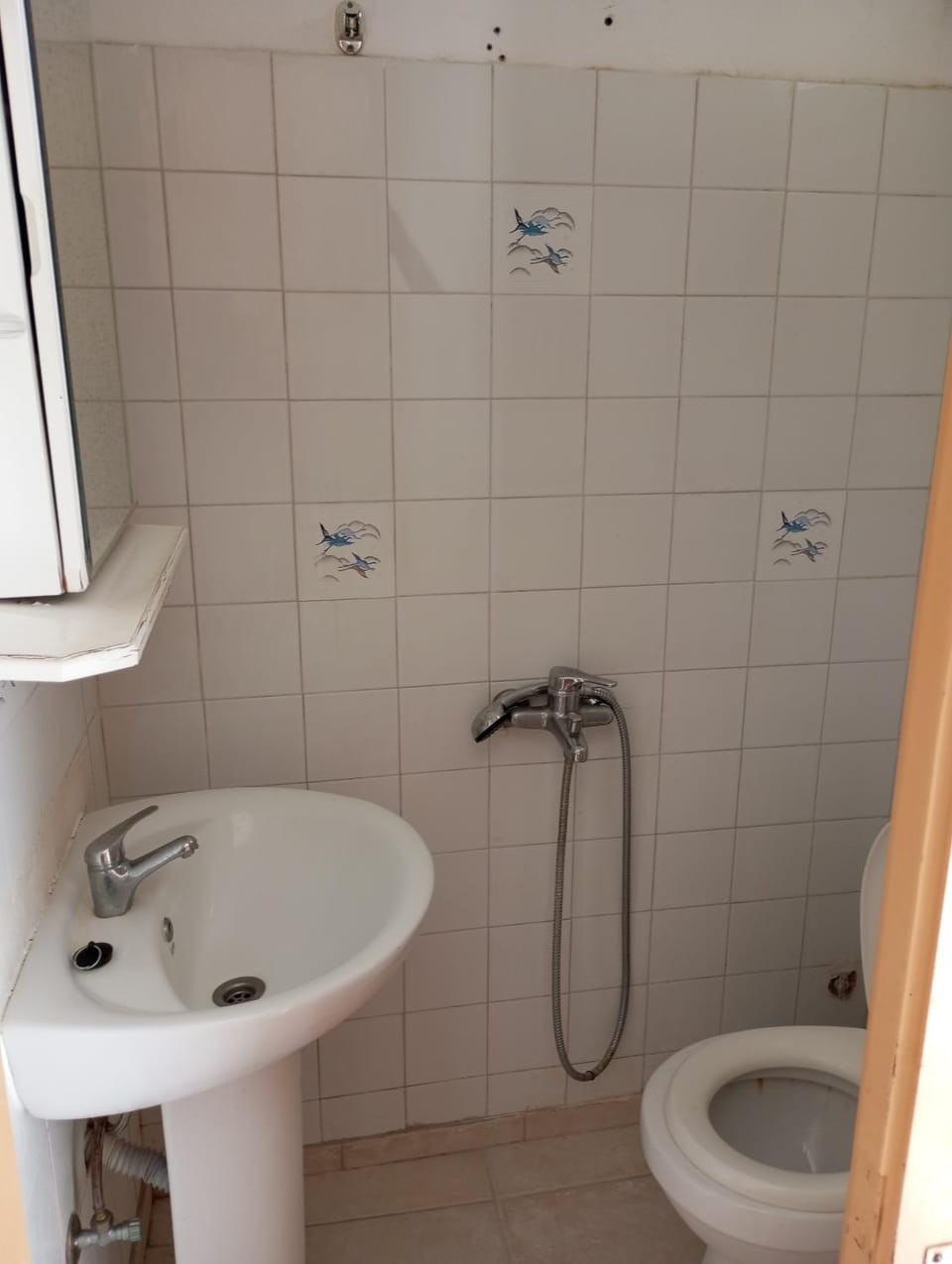 Shower, Toilet