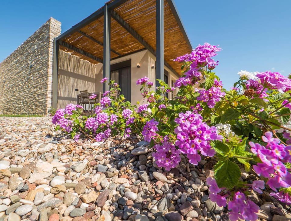 Property building, Spring, Day, Garden, Balcony/Terrace, Balcony/Terrace, Garden view